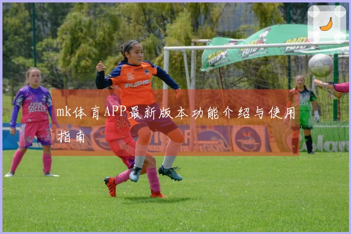mk体育APP最新版本功能介绍与使用指南