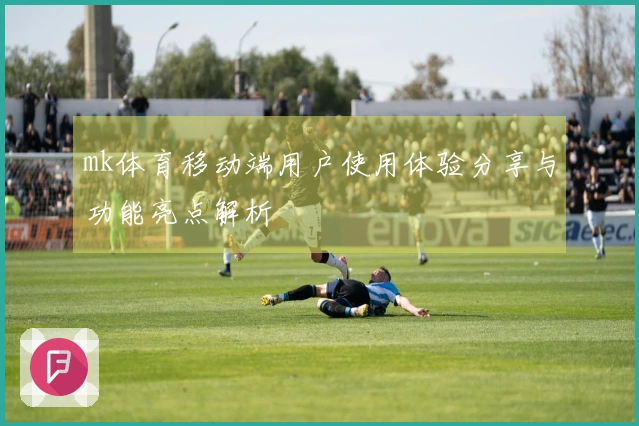 mk体育移动端用户使用体验分享与功能亮点解析