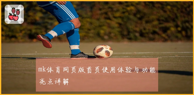 mk体育网页版首页使用体验与功能亮点详解