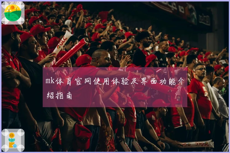 mk体育官网使用体验及界面功能介绍指南